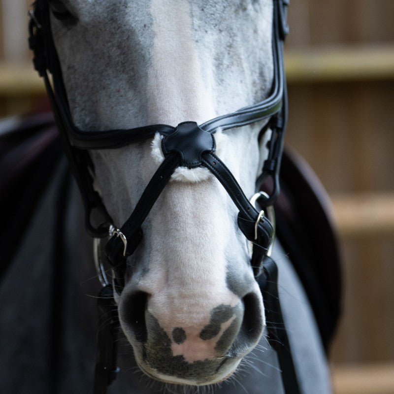 Jump'In - Bridon muserolle croisée Evolution noir | - Ohlala