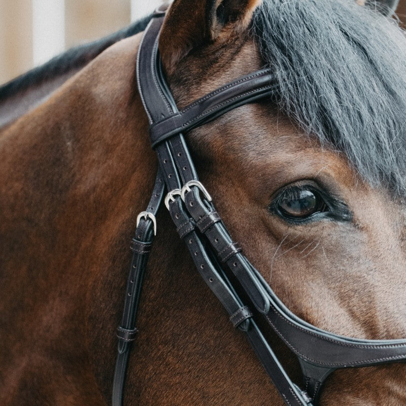Jump'In - Bridon muserolle croisée Evolution noisette | - Ohlala