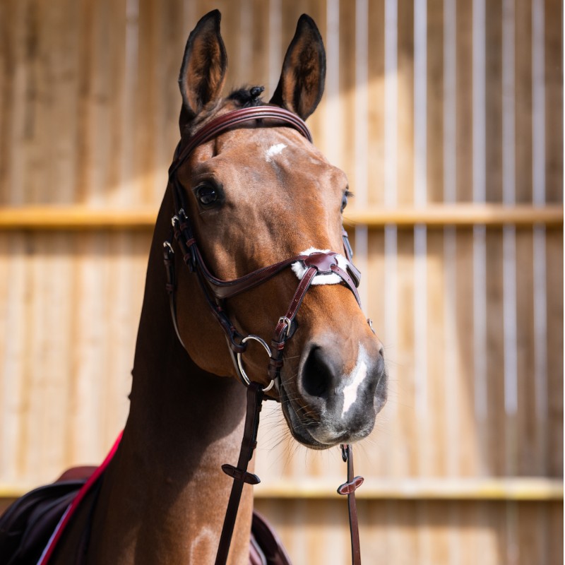 Jump'In - Bridon muserolle croisée Evolution noisette | - Ohlala