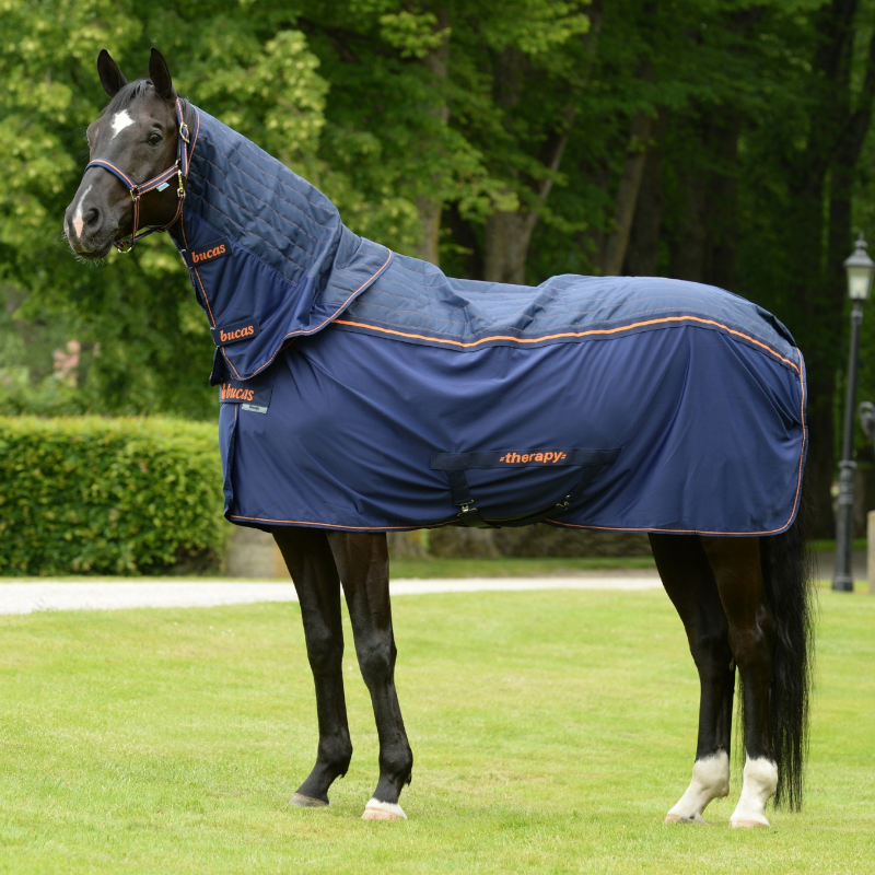 Bucas - Therapy Cooler Rug Navy/ Orange