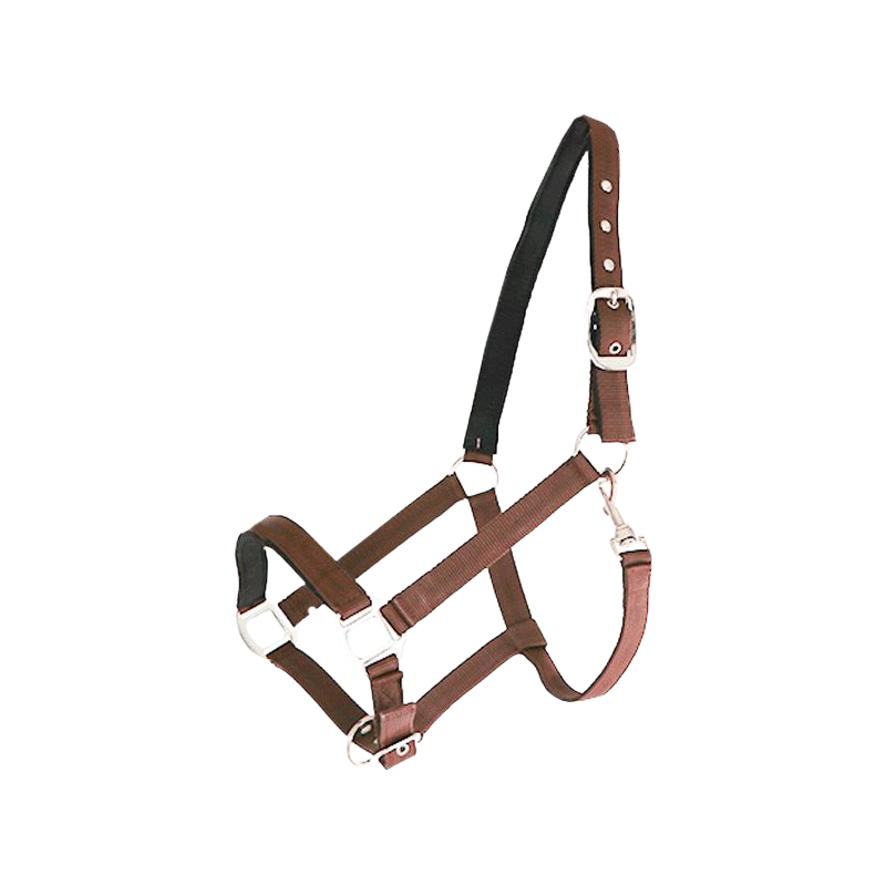 Canter - Brown lined nylon halter