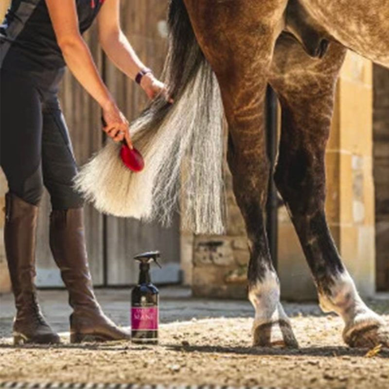 Carr & Day & Martin - Lotion crinière et queue Canter | - Ohlala