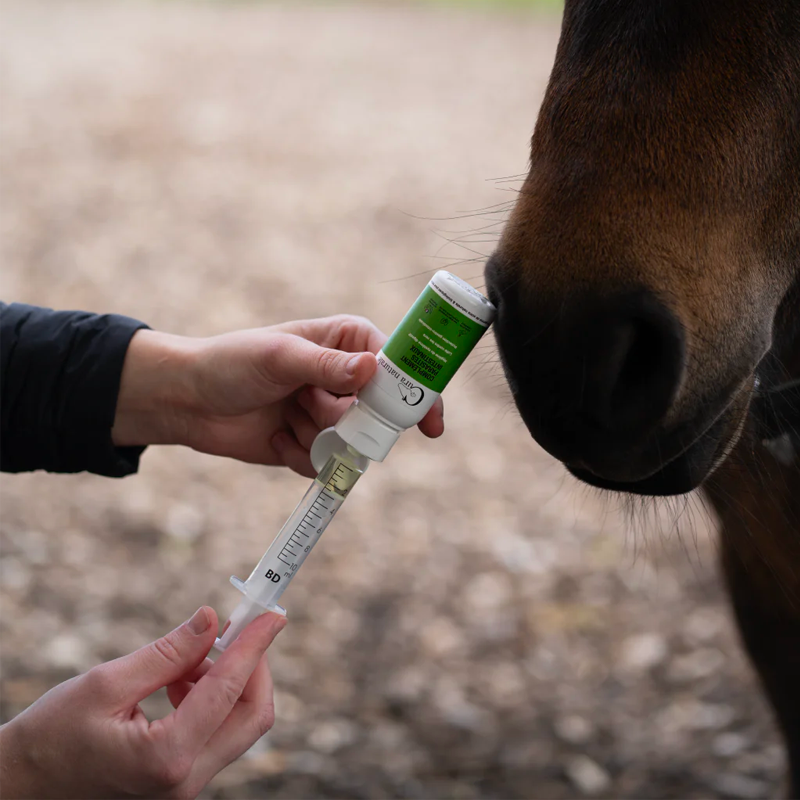 Cura Naturale - Complément alimentaire pour chevaux parasites intestinaux | - Ohlala