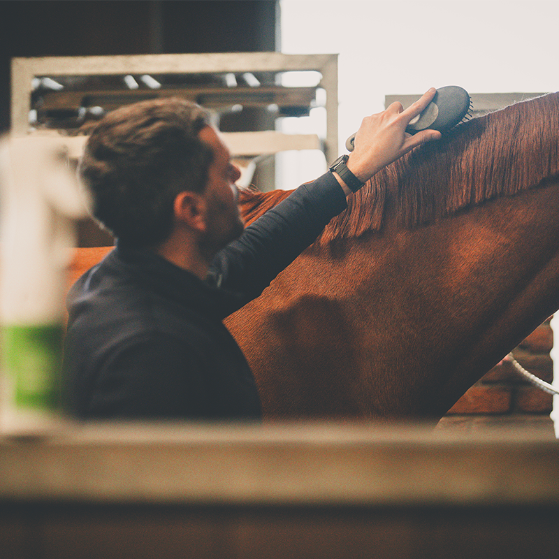 Cura Naturale - Démêlant et lustrant pour chevaux à la vanille | - Ohlala