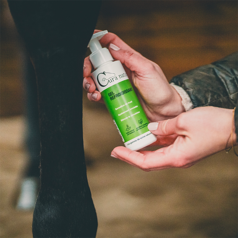 Cura Naturale - Gel refroidissant pour chevaux | - Ohlala