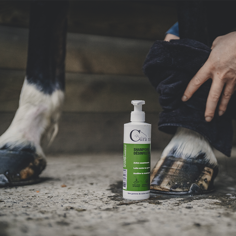 Cura Naturale - Shampoing pour chevaux désinfectant