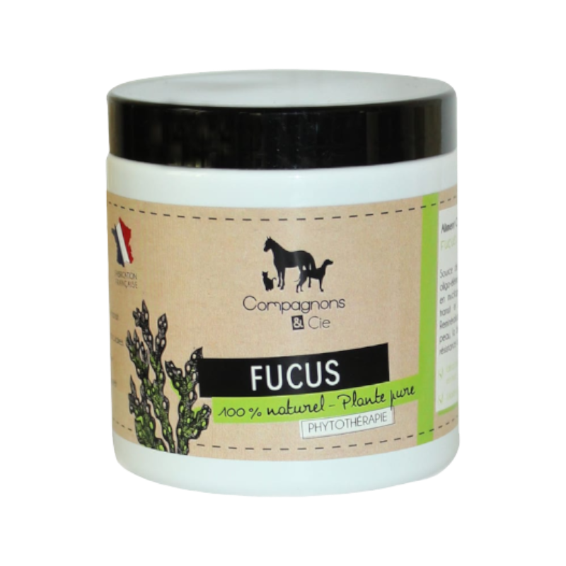 Compagnons & Cie - Complément alimentaire chiens Fucus Poudre algue brune