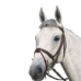 Canter - Testiera piatta doppia con redini marroni | - Ohlala