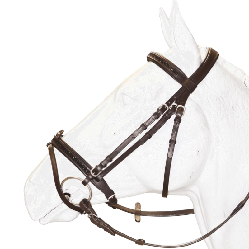 Canter - Black rhinestone combined noseband bridle with reins