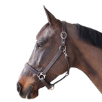 Canter - Pferde-Halfter Braun | - Ohlala