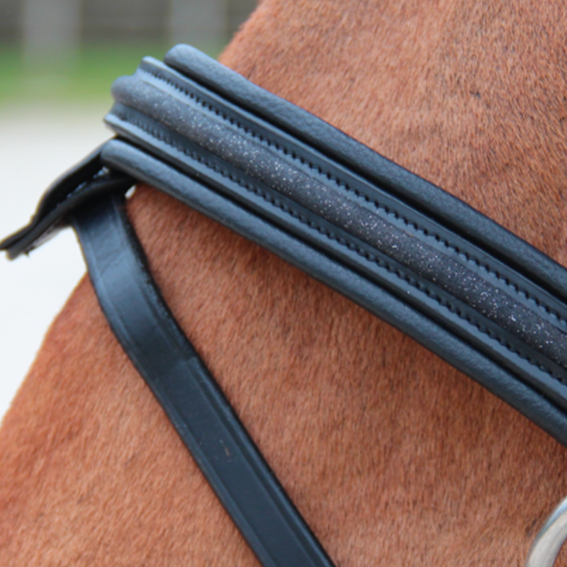 Canter - Bridon muserolle croisée Mylord noir/ noir | - Ohlala