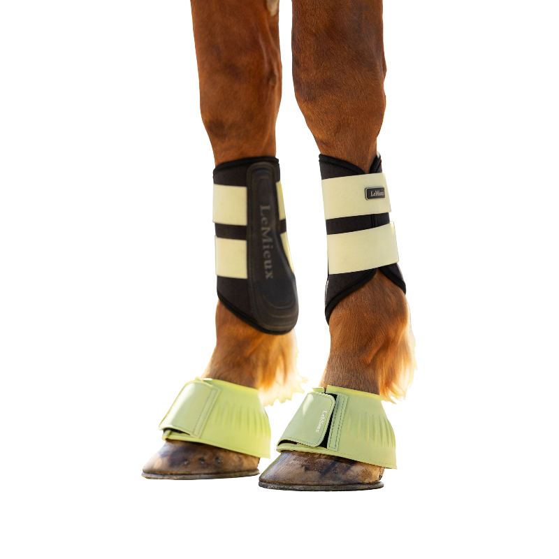 LeMieux - Rubber Bel Boots macaron | - Ohlala