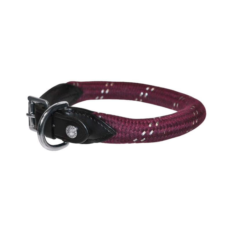 Canter - Collier pour chien en corde noir/ bordeaux | - Ohlala