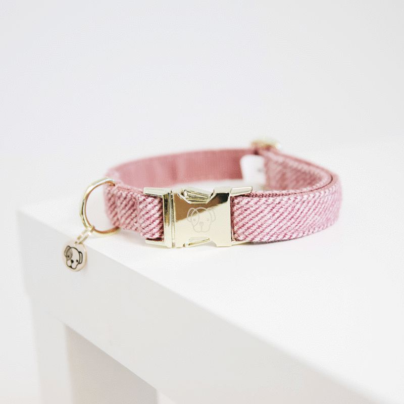 Kentucky - Collier pour chiens Wool rose | - Ohlala