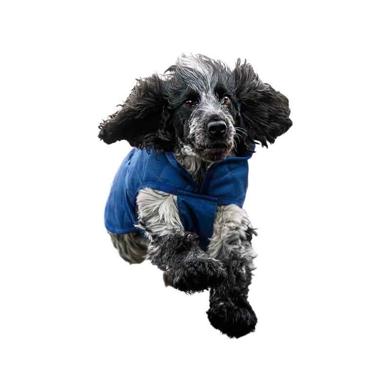 Bucas - Coperta per cane Cosy blu