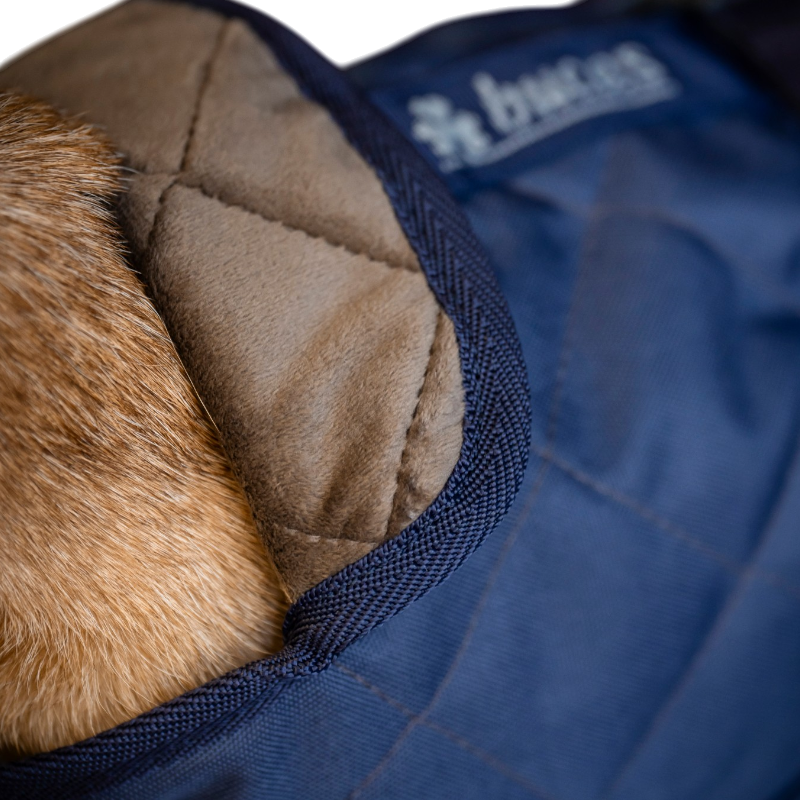 Bucas - Coperta per cane Cosy blu