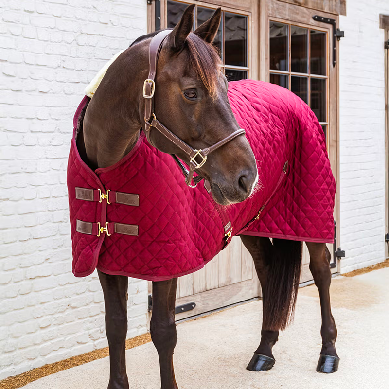 Kentucky Horsewear - Derka stajenna bordowa 400g | - Ohlala