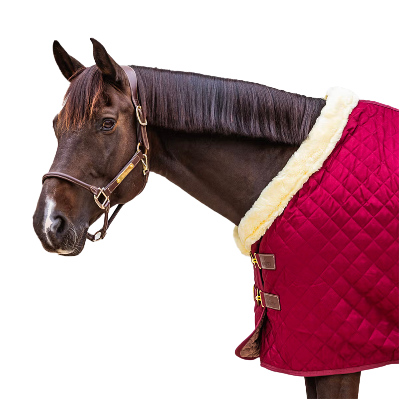 Kentucky Horsewear - Presentatiedeken bordeaux 160g | - Ohlala