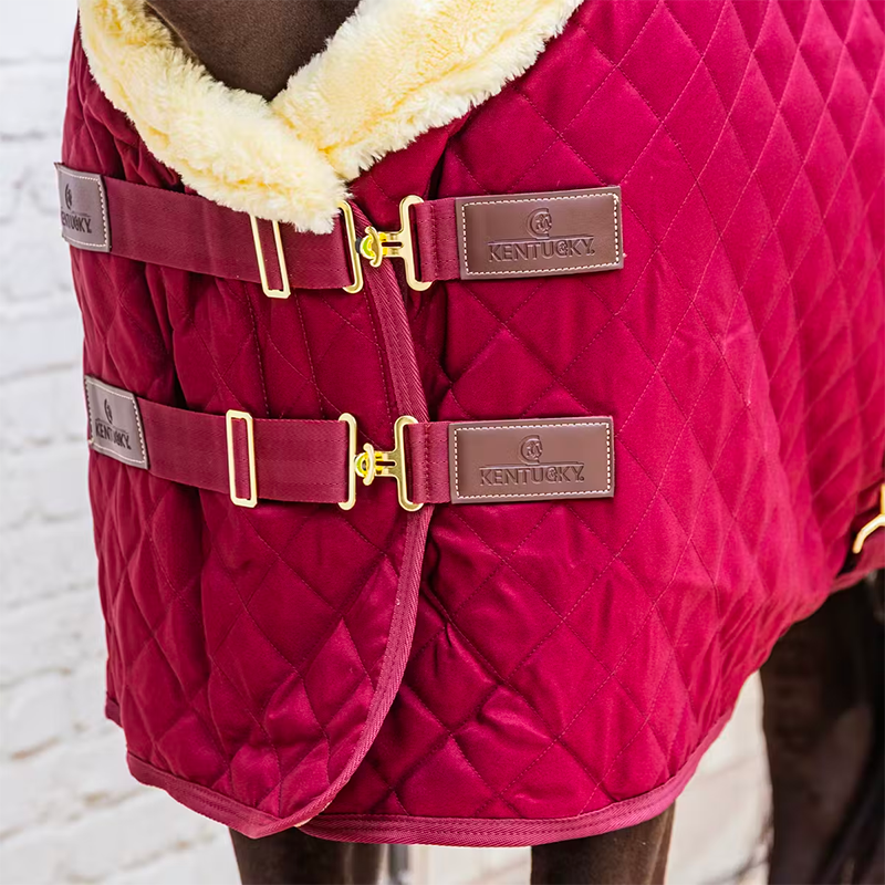 Kentucky Horsewear - Presentatiedeken bordeaux 160g | - Ohlala