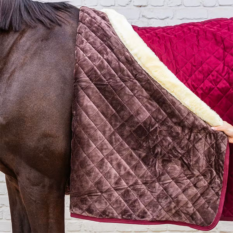 Kentucky Horsewear - Presentatiedeken bordeaux 160g | - Ohlala