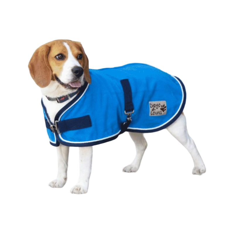 Dog Coats Ohlala Saddlery