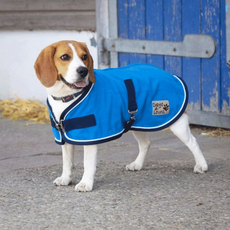 Diego & Louna - Manteau pour chiens Polyfun bleu vif | - Ohlala