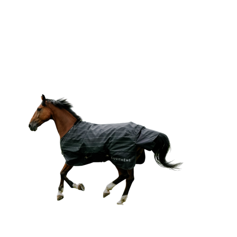 Equithème - Couverture d'extérieur Tyrex Lumin 600D noir 50g | - Ohlala