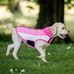 Horseware - Koc dla psa Newmarket witney pink | - Ohlala