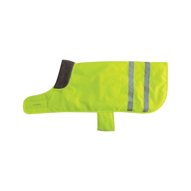 Equithème - Fluorescent dog coat