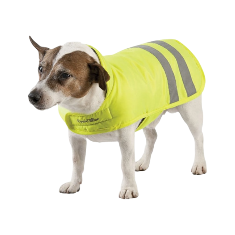 Equithème - Fluorescent dog coat