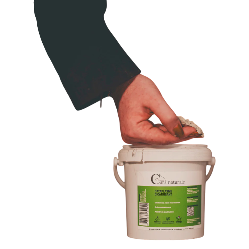 Cura Naturale - Cataplasme réparateur