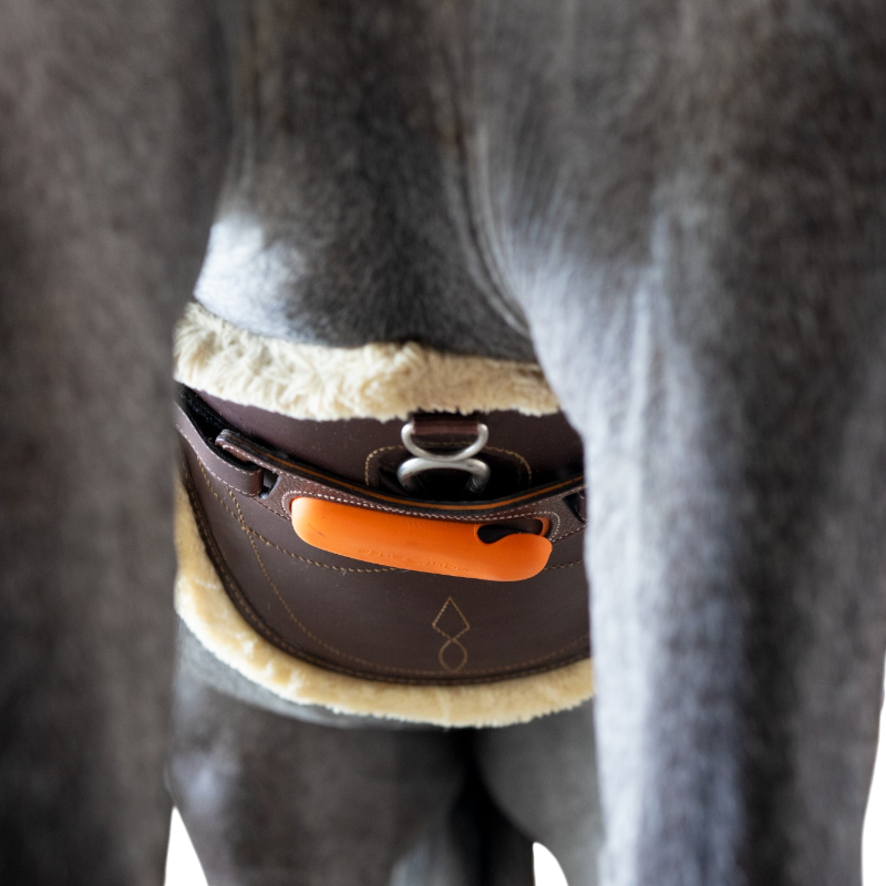 Equisense - Pack Motion One schwarzes Leder | - Ohlala