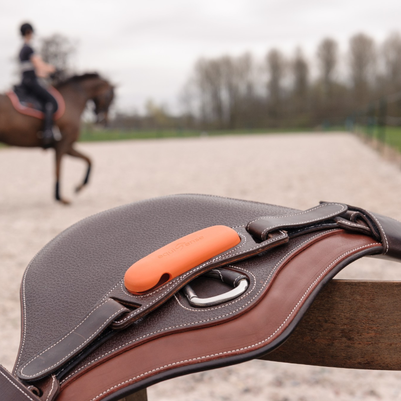 Equisense - Pack Motion One braunes Leder | - Ohlala