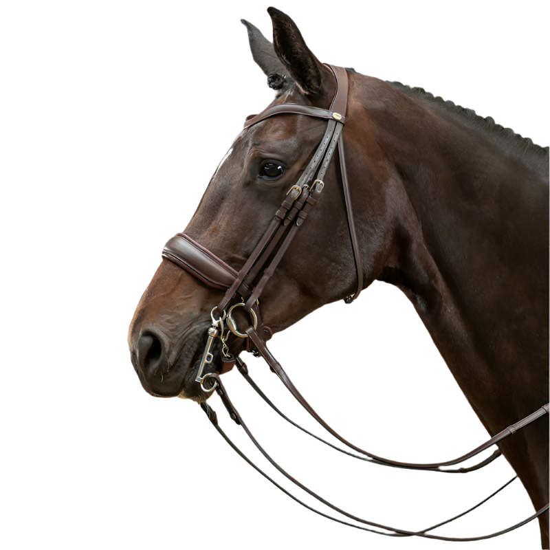 Dyon - Wide matte noseband strap Working by Dyon brown