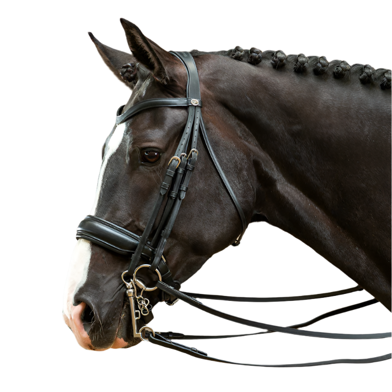 Dyon - Wide matte noseband strap Working by Dyon black