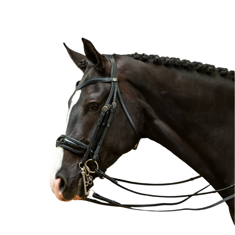 Dyon - Wide patent noseband strap Working by Dyon black