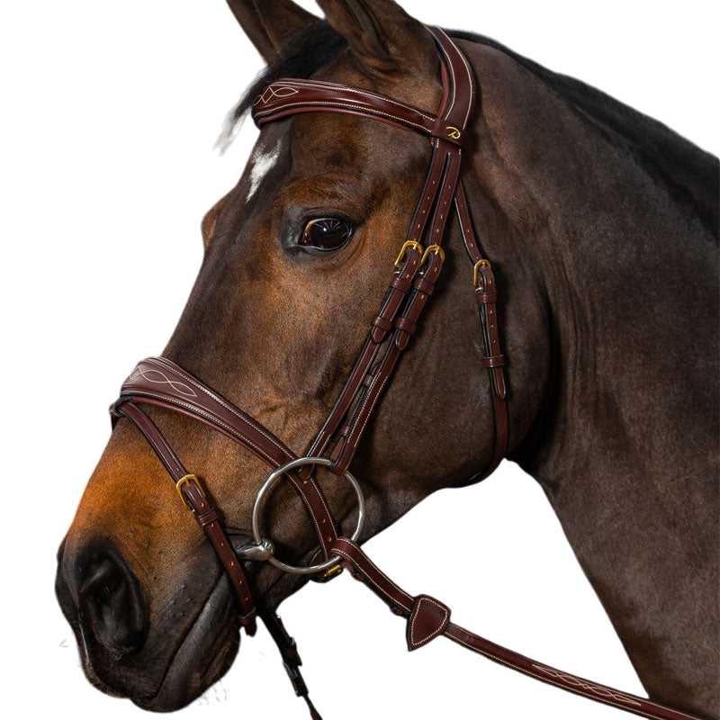 Dyon - Anatomical combined noseband bridle D Collection brown