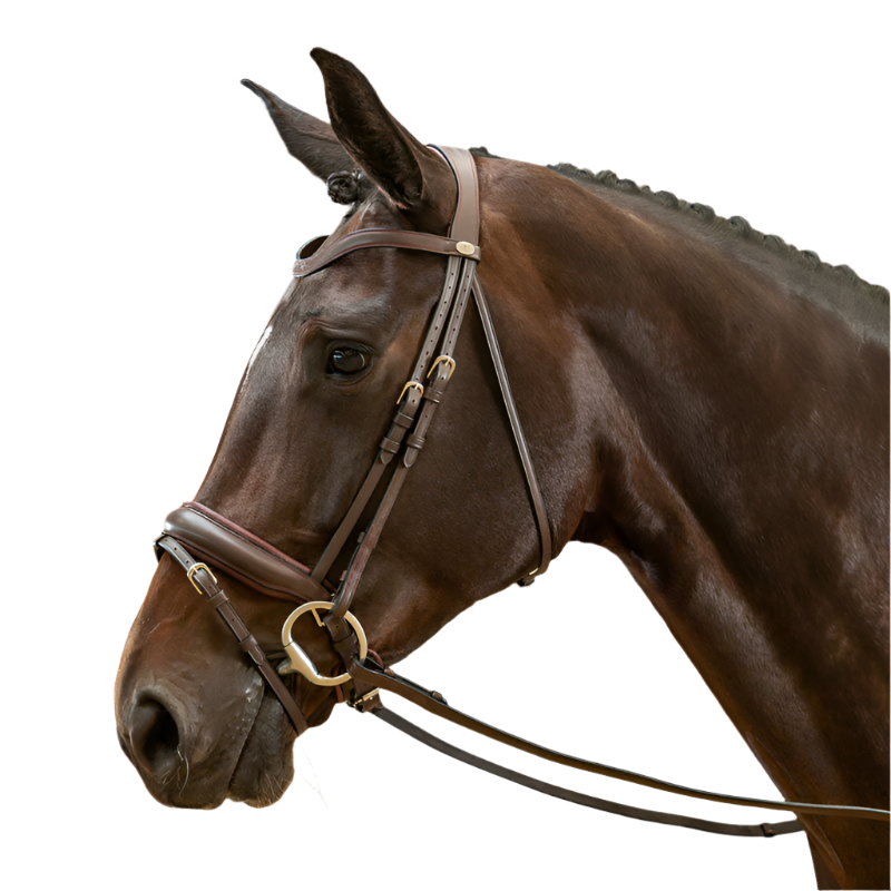 Dyon - Working by Dyon wide combined noseband bridle brown