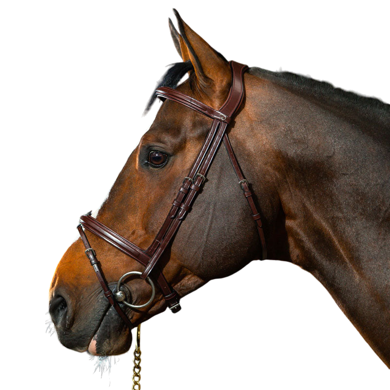 Dyon - New English Collection combined noseband bridle brown