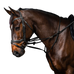 Dyon - Enrênement Howlett complet Working by Dyon noir | - Ohlala