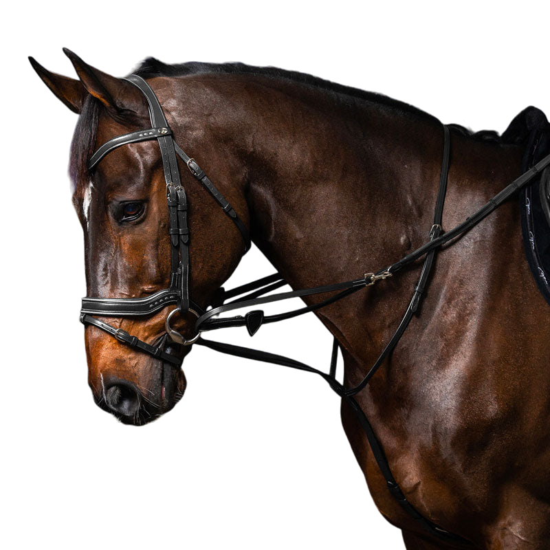 Dyon - Howlett complete training reins Working by Dyon black