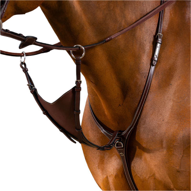 Dyon - Full flexible martingale fork US Collection brown