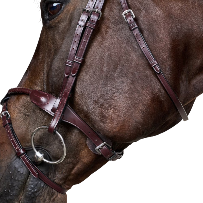 Dyon - Bridon tressé avec noseband amovible New English Collection marron | - Ohlala