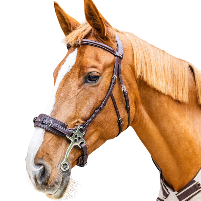 Dyon - Hackamore New English Collection marron | - Ohlala