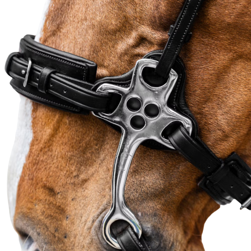 Dyon - Hackamore New English Collection noir | - Ohlala