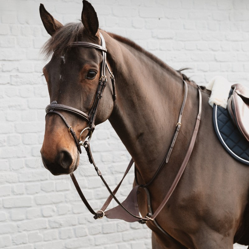 Dyon - Full leather soft martingale Dyon Brown collection 