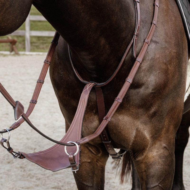 Dyon - Full leather martingale soft New English Collection brown 