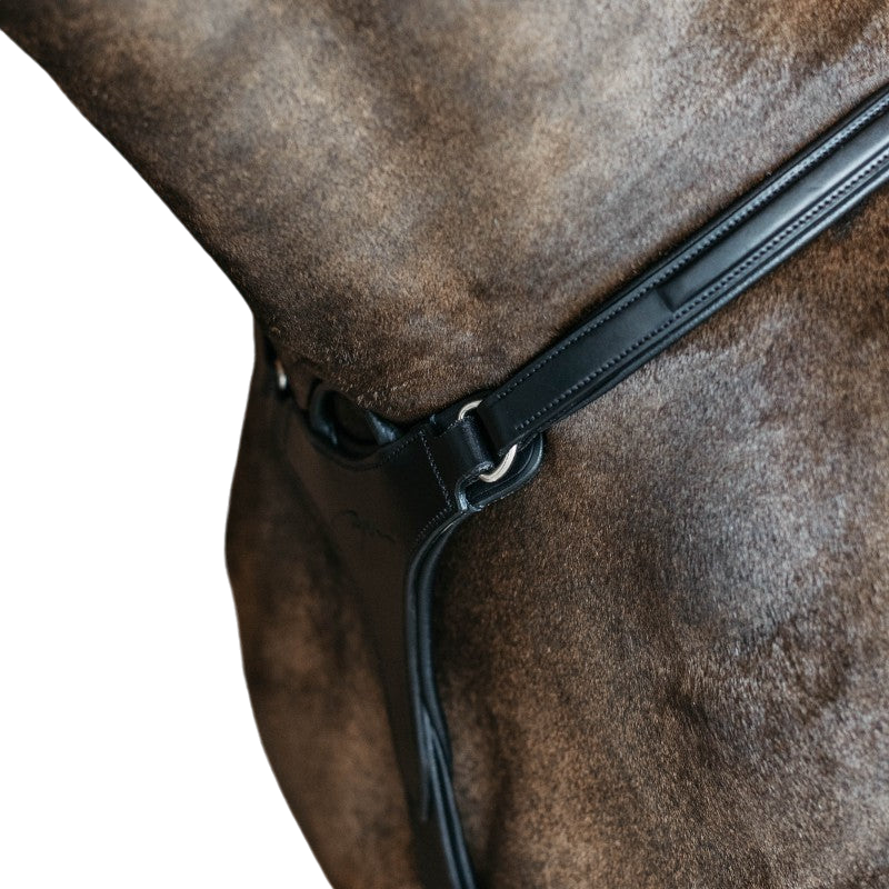 Dyon - Collier de chasse 5 points élastique New English Collection noir
