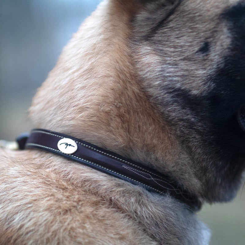 Dyon - Collier pour chien Fancy brun