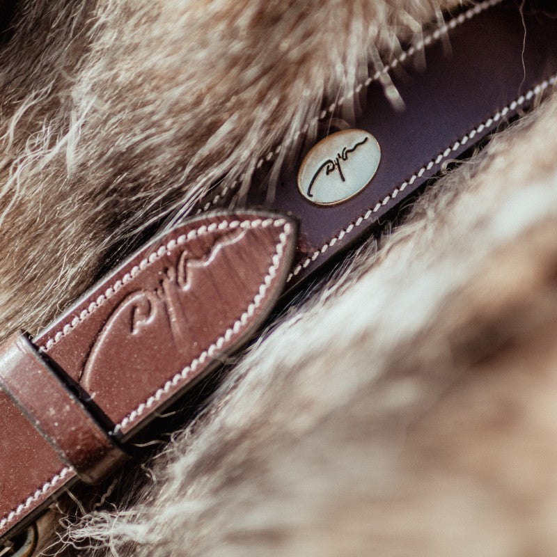 Dyon - Collier pour chien cuir Plat brun